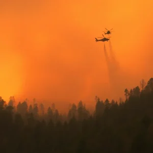 Wildfires in South Carolina