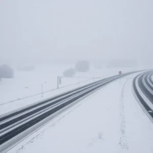South Carolina Winter Storm Scene