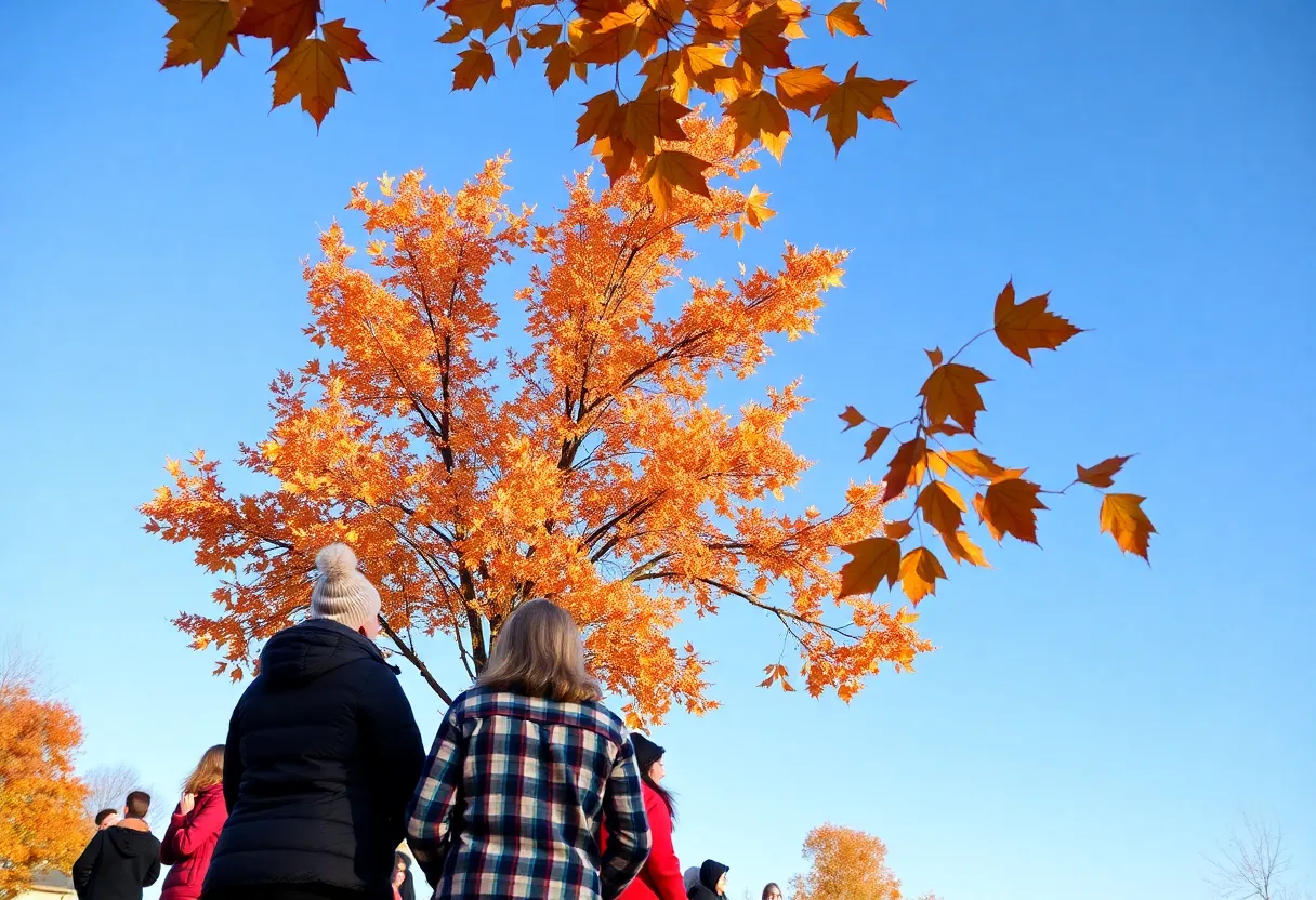 Outdoor Thanksgiving celebration in Newberry, SC with clear skies