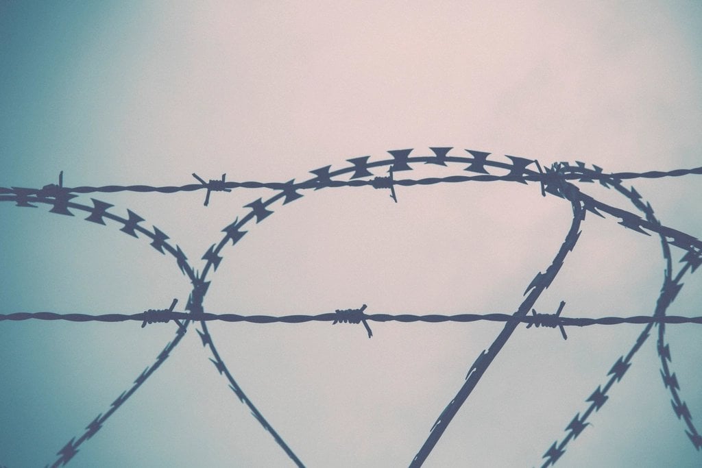 Barbed wire fence close-up